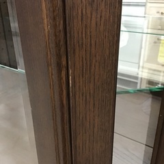 【在庫入れ替えセール】キュリオケース 