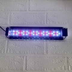 水作　LEDライト　30〜40センチ