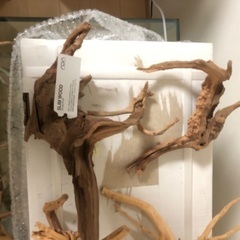 ADAキューブガーデン 水槽 流木 などまとめて