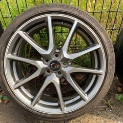 超特大 美株 アメリカーナ 覆輪斑