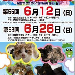 6/12(日)　猫の譲渡会　in　名古屋昭和生涯学習センター