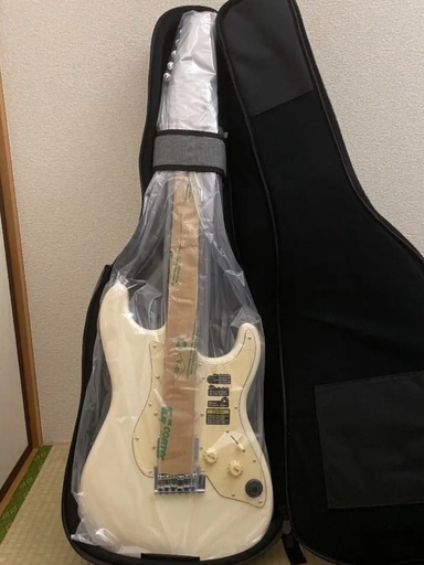 弦楽器、ギター MOOER GTRS S801 White