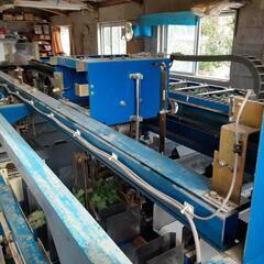 菊ロボット選別機(再値下げ)