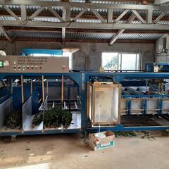 菊ロボット選別機(再値下げ)