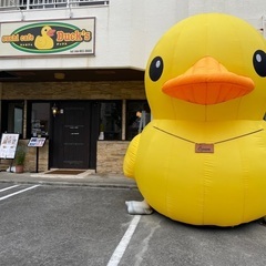 Sushi cafe Ducks