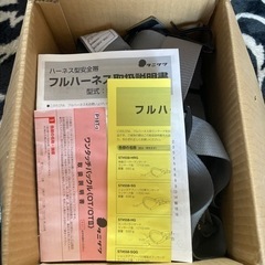 タニザワフルハーネスランヤード付き