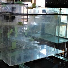 アクリル濾過槽 ウールボックス付② 13,000円