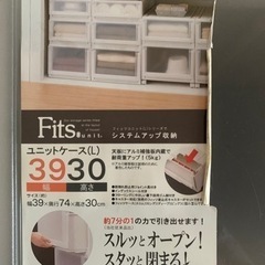 Fits 押入れ収納ケース