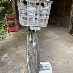 電動自転車、無料