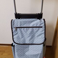 【ネット決済】【買い物キャリーバッグ】ecoRoRo 29L