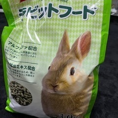 爬虫類・淡水魚用】餌用デュビアまとめて