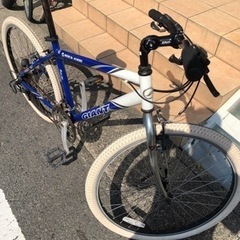 GIANT ROCK4100 430 BLU