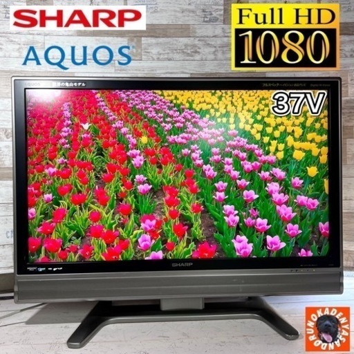【すぐ見れる‼️】SHARP AQUOS 大型テレビ 37型✨ フルHD⭕️ 配送＆取付け無料