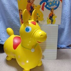 Rody　すぐ乗って遊べます❗