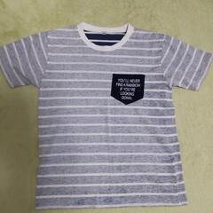 150サイズ男の子半袖Tシャツ