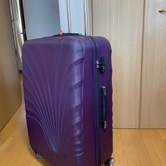 海外旅行用スーツケース（ゴマさん用）