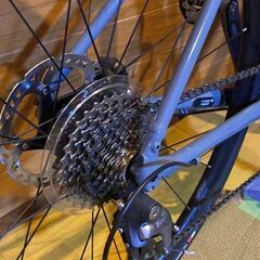 トレックALR5    2021    52サイズ