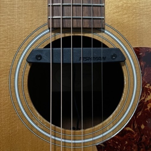 決まりました】Tayler 114 エレアコ仕様 | noonanwaste.com
