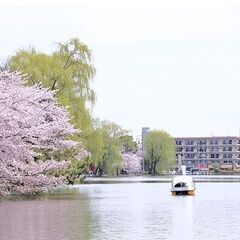 単身用１R 家賃以外の費用は入居前支払いなし 西武新宿線 上石神...