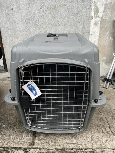 ゲージ 飛行機対応