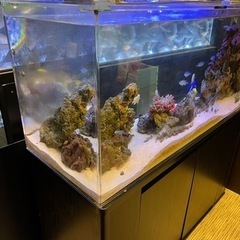 熱帯魚用水槽一式（ライブロックは含みますが、熱帯魚は含みません）