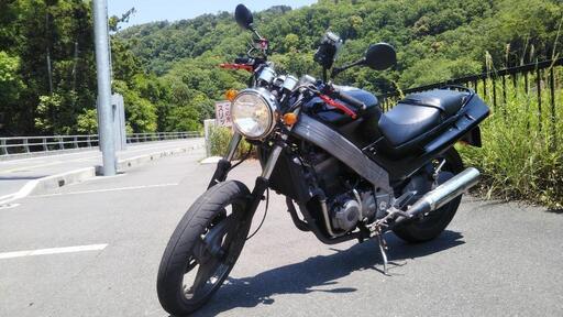 カワサキ　ZZR250　EX250　前期型　250cc　軽二輪　バイク　ネイキッド　カスタム