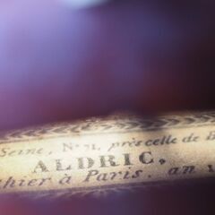 【選定分類：II-⑨オールド・ファクトリーメード・仏蘭西】Violin Mid19thCentury Ascribed to ALDRIC,1842鳥目杢●国内修復・セッティング・調整未済●試奏可