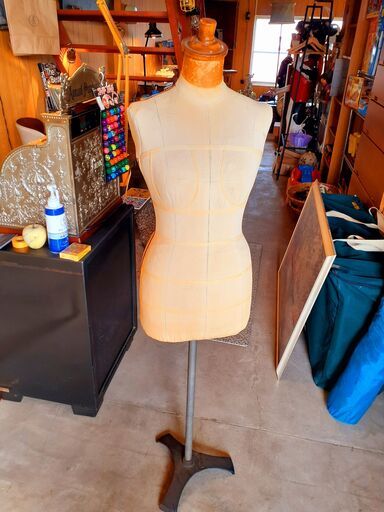 KIIYA キイヤ ボディ トルソー 高さ調節可 /BJ-0554 1F