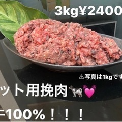 【ネット決済・配送可】格安！！！3kg犬用肉　挽肉　大型犬　小型...