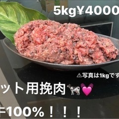 【ネット決済・配送可】格安！！！5kg犬用肉　挽肉　大型犬　小型...
