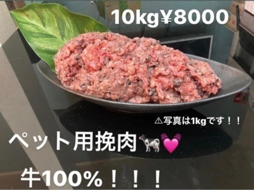 格安！！！10kg犬用肉　挽肉　大型犬　小型犬