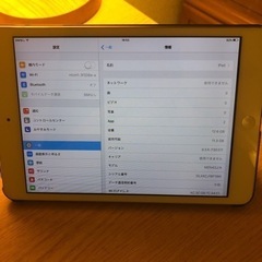 iPad mini