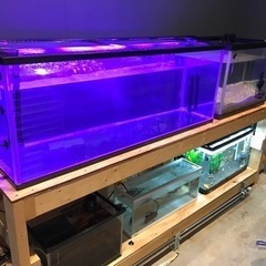 cool way BK210 1200水槽　1200LED照明