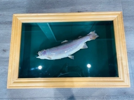 魚の剥製