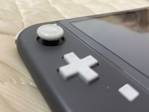 今限定　スイッチライト+2021人気モンスターハンスター