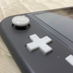 今限定　スイッチライト+2021人気モンスターハンスター