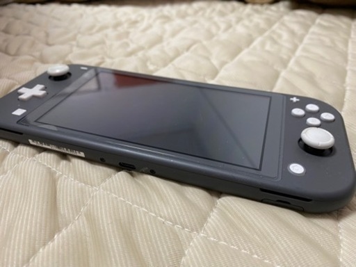 今限定　スイッチライト+2021人気モンスターハンスター