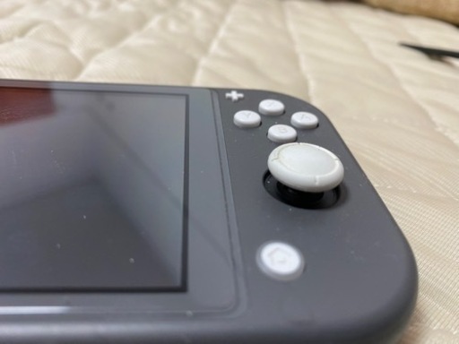 今限定　スイッチライト+2021人気モンスターハンスター