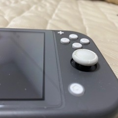 今限定　スイッチライト+2021人気モンスターハンスター