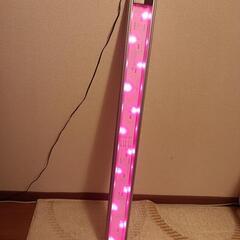 GEX CLEAR LED POWER3 水槽用right − 福岡県
