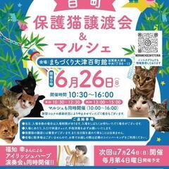 ☆百町保護猫譲渡会＆マルシェ