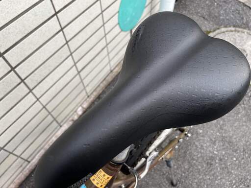 ルイガノ LOUIS GARNEAU LGS-SIX シティバイク USED 2010 RED