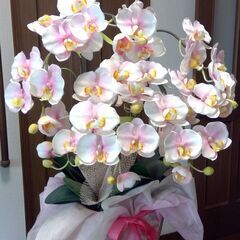 胡蝶蘭の造花。さしあげます。