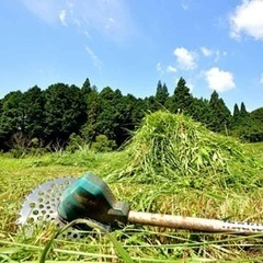 草刈り致します。除草シート貼ります。ハウスクリーニングもやります...