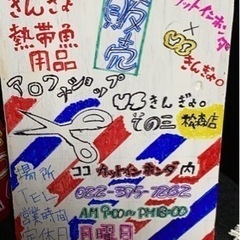 アロワナショップYSきんぎょ。その3（松森店）の新店舗のお知らせ！