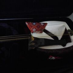 プロ仕様の津軽三味線