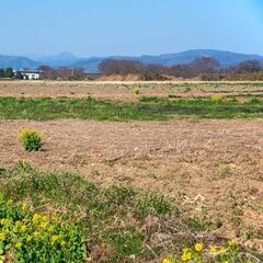 【土地募集（農地大歓迎）】土地売却にお困りの方必見！売却収入が得...