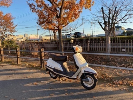 ヤマハ シグナス125 50V 自賠責つきですぐ乗り出せます！