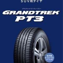 ダンロップ GRANDTREK PT3 225/55/R19