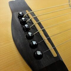 グレッグベネット アコースティックギター ADSM 純正ソフトケース付